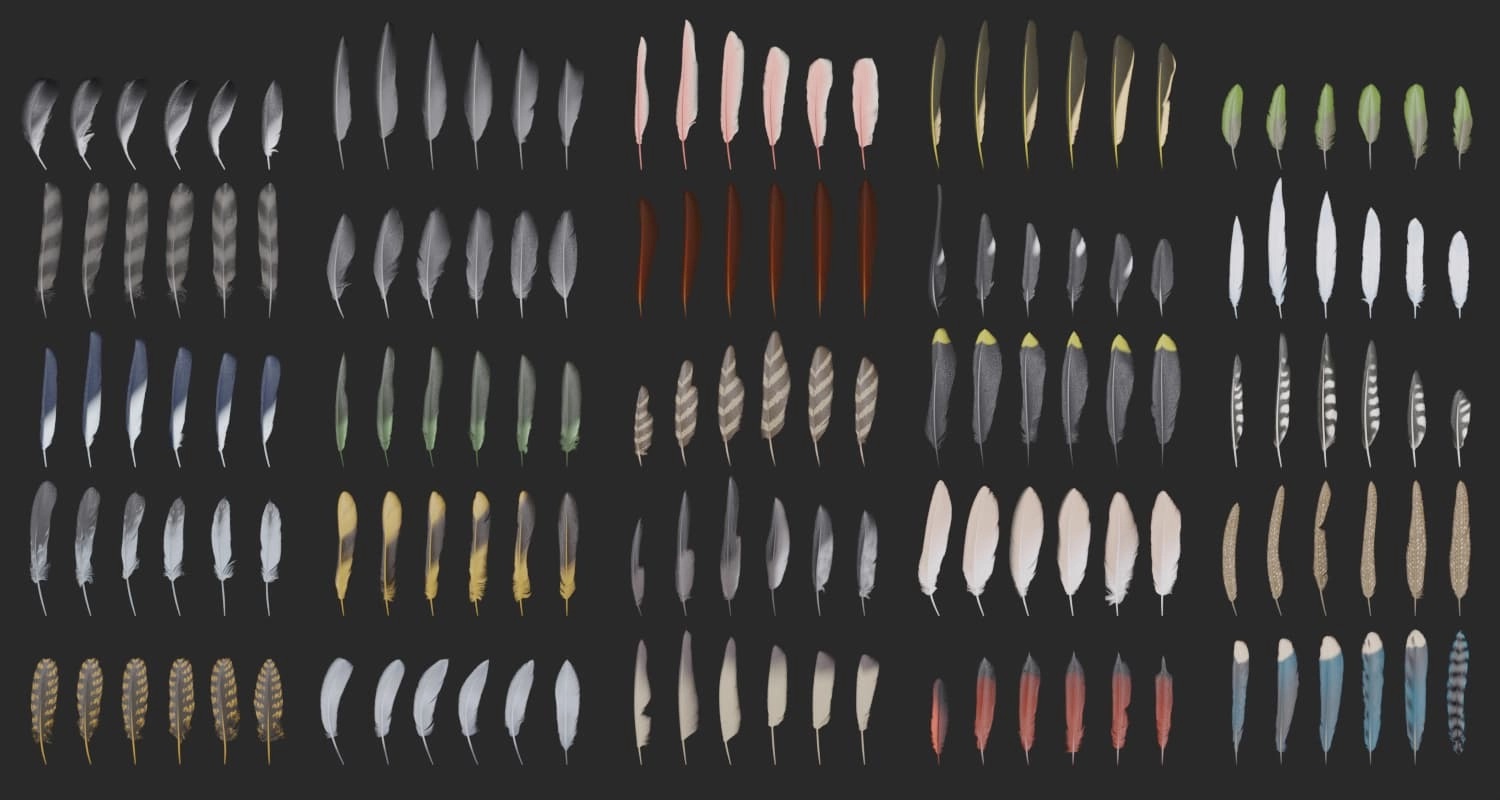 Blender预设|几何节点鸟类羽毛生成器 Nuja – Feather And Plumage Tools V1.5